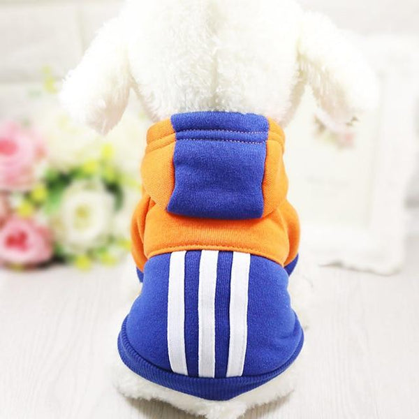 Colourful Dog Hoodie - Your Little Pet Store