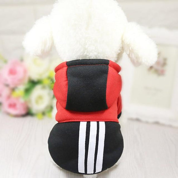Colourful Dog Hoodie - Your Little Pet Store