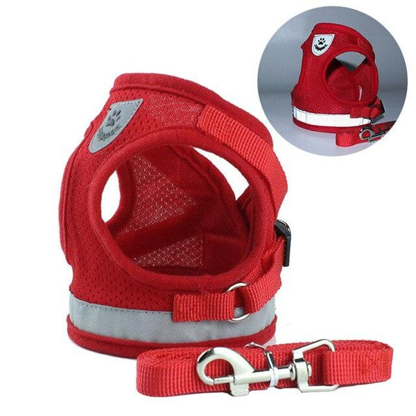 DONE Reflective Pet Dog Vest Harness & Lead Set for Small Dogs - Your Little Pet Store