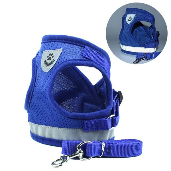 DONE Reflective Pet Dog Vest Harness & Lead Set for Small Dogs - Your Little Pet Store