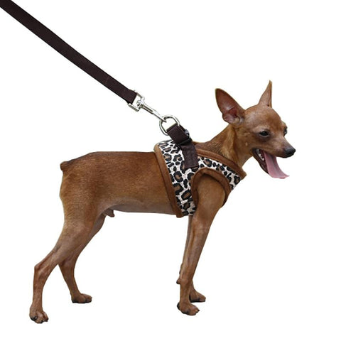 DONE Funky Dog Harness For Small Dogs - Your Little Pet Store