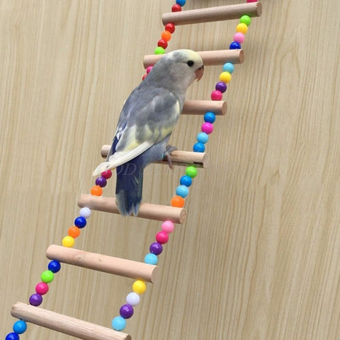 Bird Ladders Climbing Toy - Your Little Pet Store