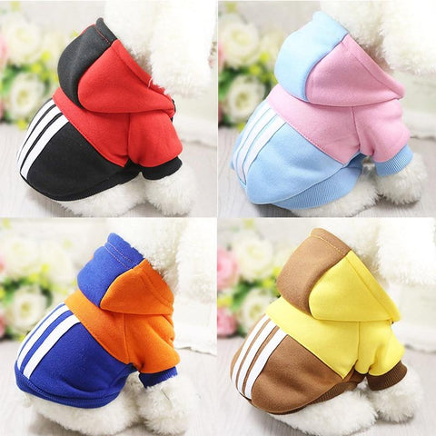 Colourful Dog Hoodie - Your Little Pet Store