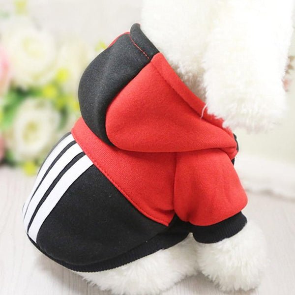 Colourful Dog Hoodie - Your Little Pet Store