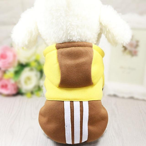 Colourful Dog Hoodie - Your Little Pet Store