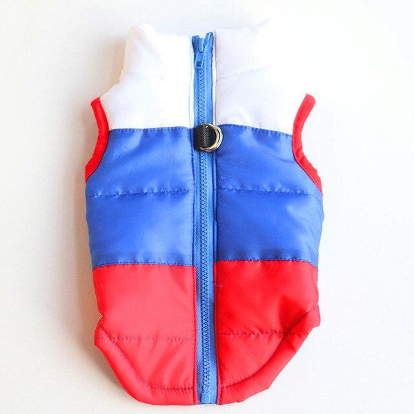 Colourful Dog Puffer Jacket - Your Little Pet Store