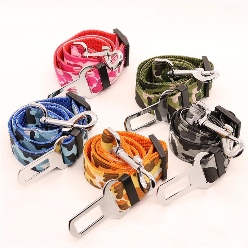 Dog Accessories