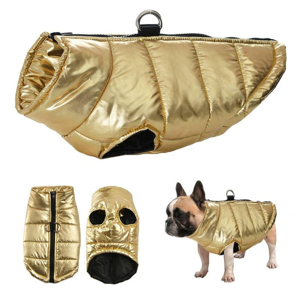 DONE Warm Waterproof Dog Vest Jacket - Your Little Pet Store