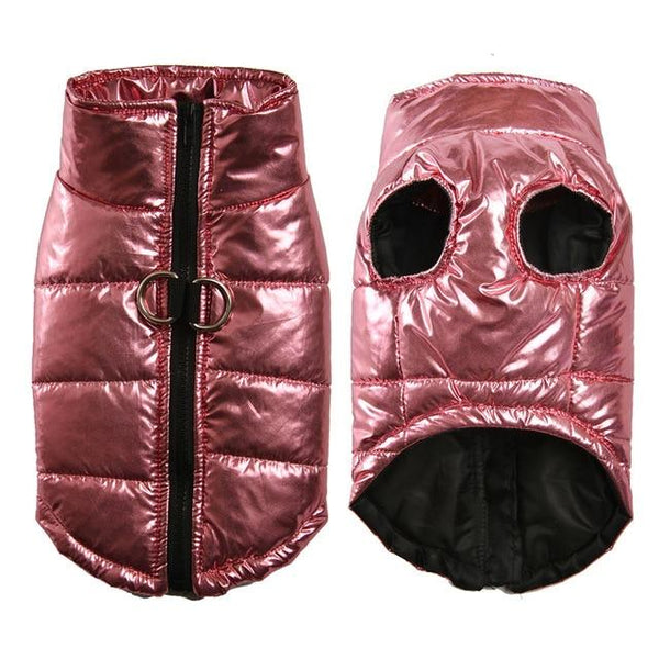 DONE Warm Waterproof Dog Vest Jacket - Your Little Pet Store