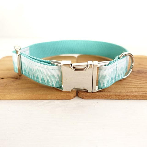 Aqua Dog Collar - Your Little Pet Store