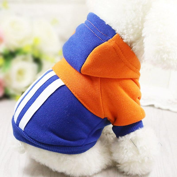 Colourful Dog Hoodie - Your Little Pet Store