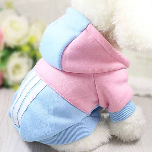 Colourful Dog Hoodie - Your Little Pet Store