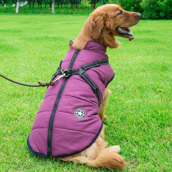 Warm Waterproof Puffer Jacket